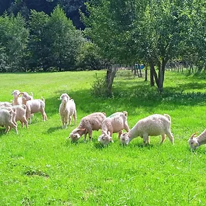 https://au-mohair-des-alpy.midi-pyreneeshotels.com